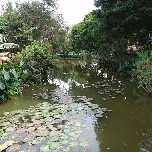 View over the central lake