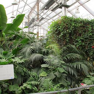 Butterfly House - Butterfly Creek 2011