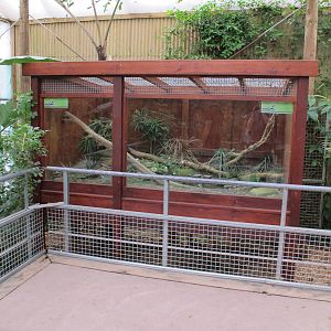 Water Dragon Exhibit - Butterfly Creek 2011