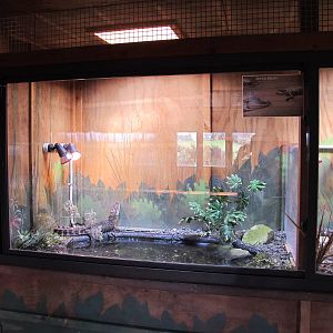 American Alligator Exhibit - Butterfly Creek 2011