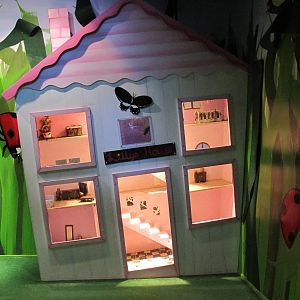 American Cockroach House - Butterfly Creek 2011