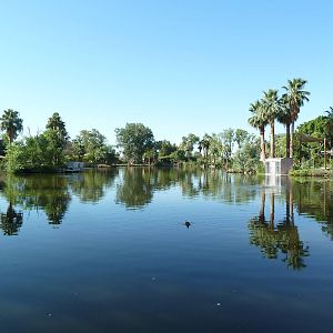 Buff-Cheeked Gibbon Island - Lake View