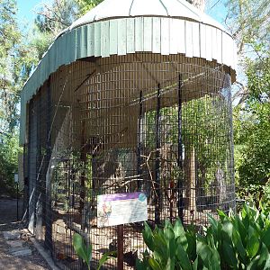 Scarlet Macaw Exhibit