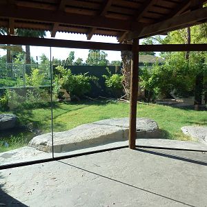 Komodo Dragon Exhibit