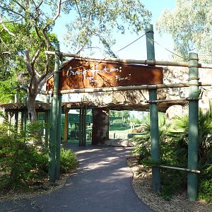 Orangutan Exhibit - Entrance