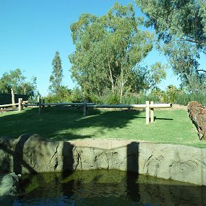 Orangutan Exhibit - New In 2011