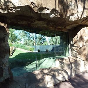 Orangutan Exhibit - New In 2011