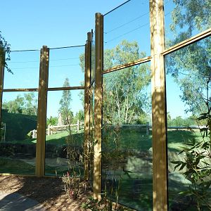 Orangutan Exhibit - New In 2011