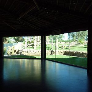 Orangutan Exhibit - New In 2011