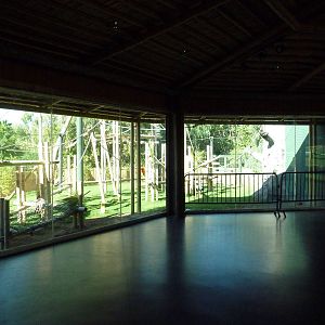 Orangutan Exhibit - New In 2011