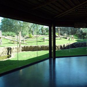 Orangutan Exhibit - New In 2011