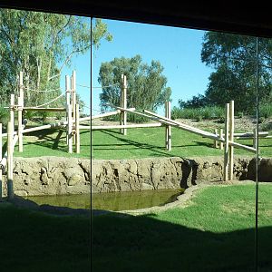 Orangutan Exhibit - New In 2011