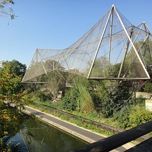 Snowdon Aviary at London Zoo