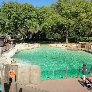 Penguin Beach at London Zoo