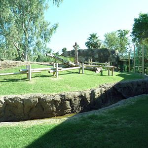 Orangutan Exhibit - New In 2011