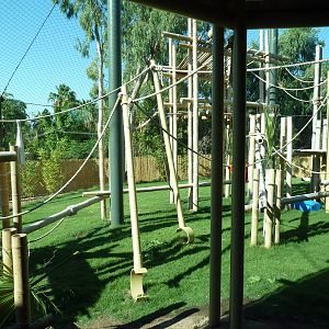 Orangutan Exhibit - New In 2011