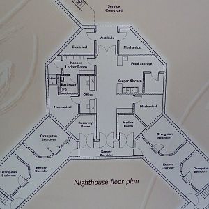 Orangutan Exhibit - New In 2011