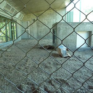 Orangutan Exhibit - New In 2011