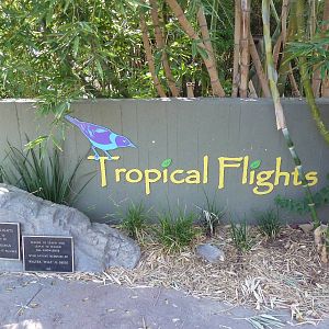 Tropical Flights - Entrance Sign