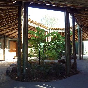 Orangutan Exhibit Entrance - New In 2011