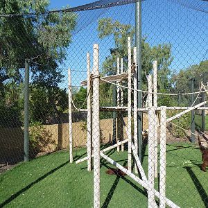 Orangutan Exhibit - New In 2011