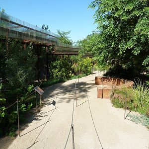 Monkey Village - Walk-Through Squirrel Monkey Exhibit