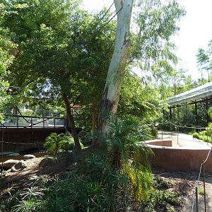 Monkey Village - Walk-Through Squirrel Monkey Exhibit