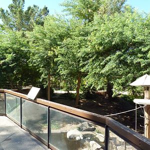 Monkey Village - Walk-Through Squirrel Monkey Exhibit