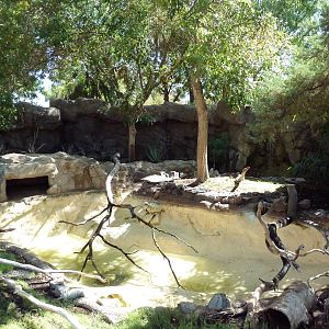 Spot-Necked Otter Exhibit