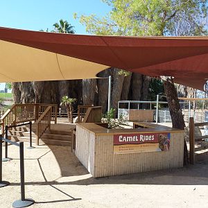 Camel Rides Area