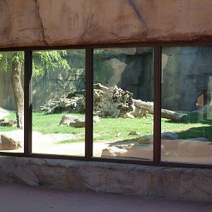 Mandrill Exhibit