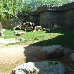 Mandrill Exhibit