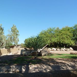 White Rhino/Speke's Gazelle/Egyptian Goose Exhibit
