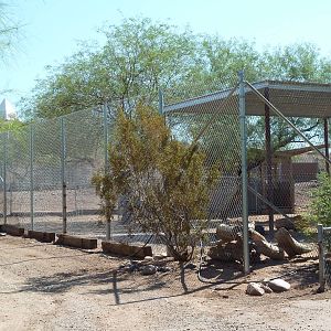 Off-Exhibit Chacoan Peccary Enclosure