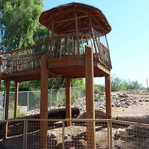 Mixed Species African Savanna