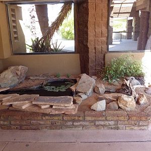 Arizona Trail - Gila Topminnow Exhibit