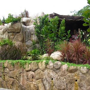 Naked Mole-rat exhibit