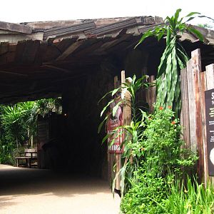 Naked Mole-rat exhibit