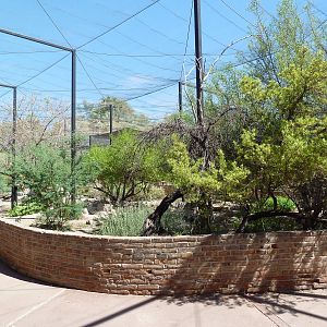 Arizona Trail - Walk-Through Aviary