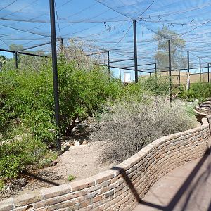 Arizona Trail - Walk-Through Aviary