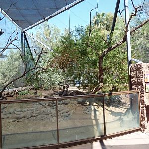 Arizona Trail - Roadrunner/Burrowing Owl Exhibit