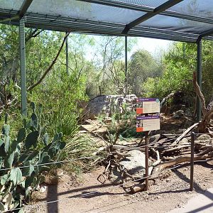 Arizona Trail - Golden Eagle Aviary