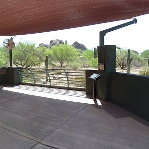 Arizona Trail - Coyote Exhibit Viewing Platform
