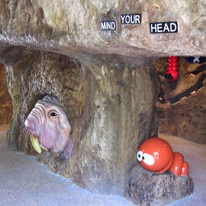 Naked Mole-rat exhibit