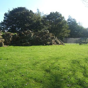 View of wallaby Walk through