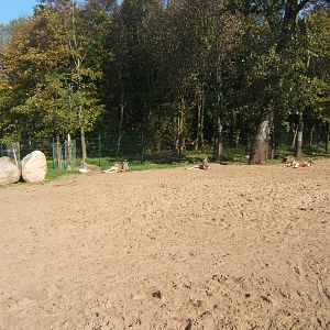 View of wallaby Walk through