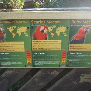 View of sign for the Macaws in the Parrot Walk