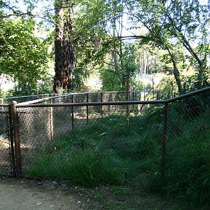 Area next to Sichuan Takin