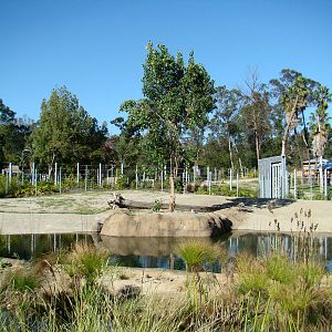 Elephants of Asia Plaza exhibit