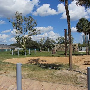 New Elephant Habitat